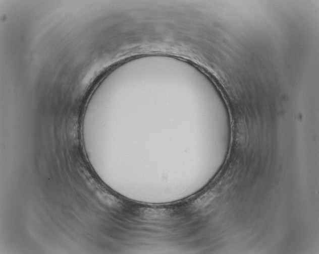 X0000088461499200706121451