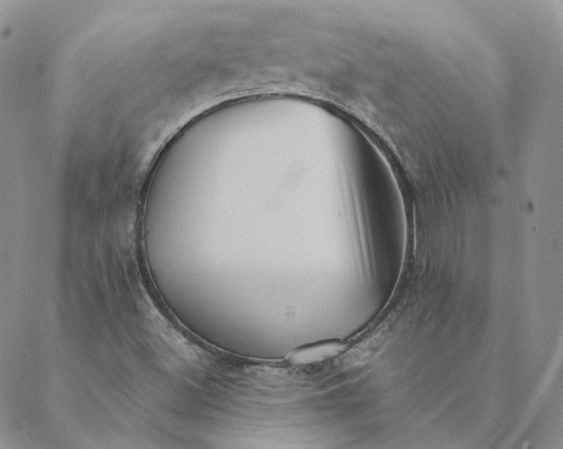 X0000088461500200706121451