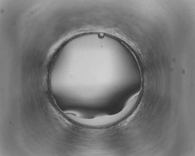 X0000088461502200706121451