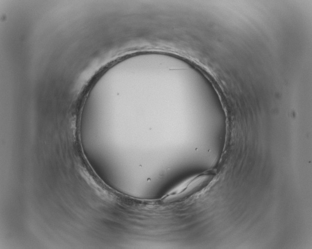 X0000088461503200706121451