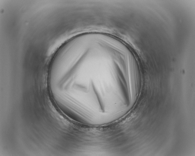 X0000088461504200706121451