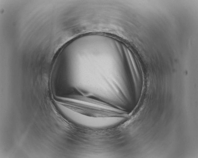 X0000088461505200706121451