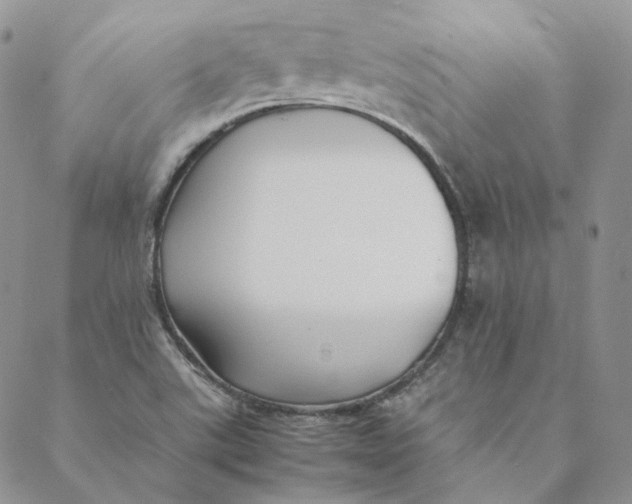 X0000088461507200706121451