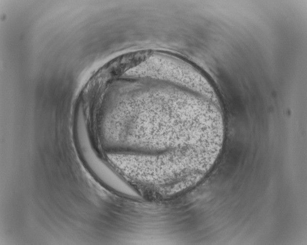 X0000088461508200706121451