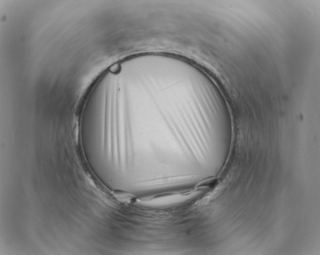 X0000088461509200706121451