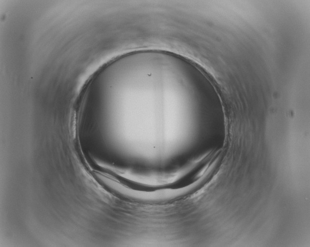 X0000088461510200706121451