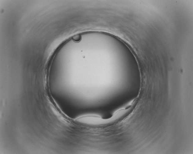 X0000088461511200706121451