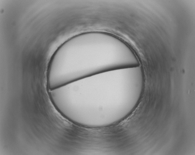 X0000088461512200706121451