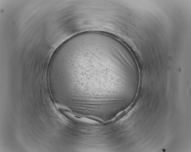 X0000088461513200706121451