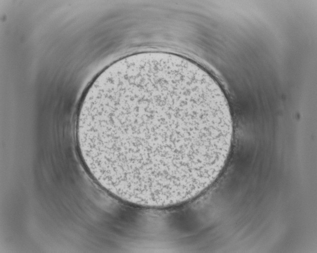 X0000088461514200706121451