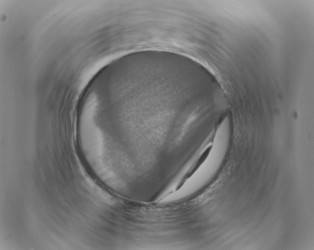 X0000088461515200706121451