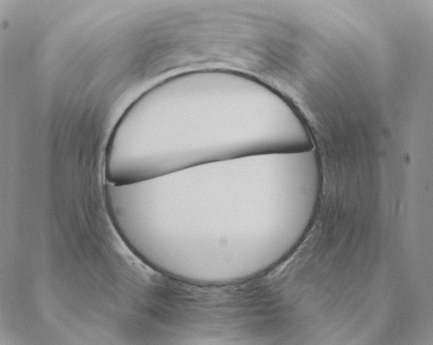 X0000088461516200706121451