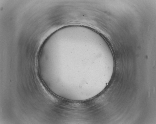 X0000088461517200706121451