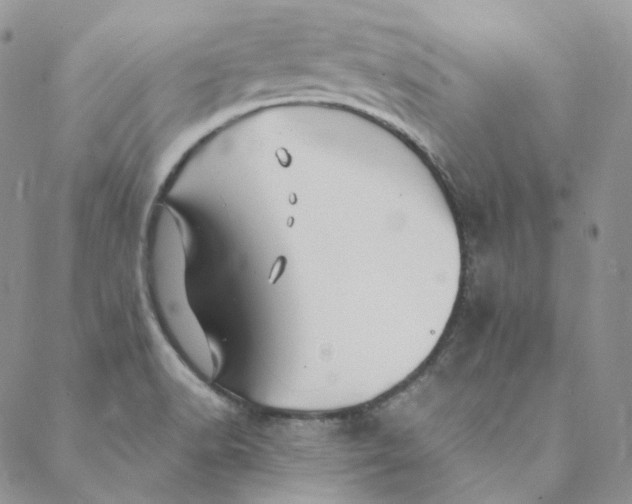 X0000088461518200706121451