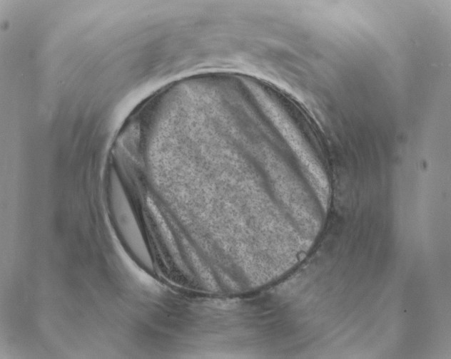 X0000088461519200706121451