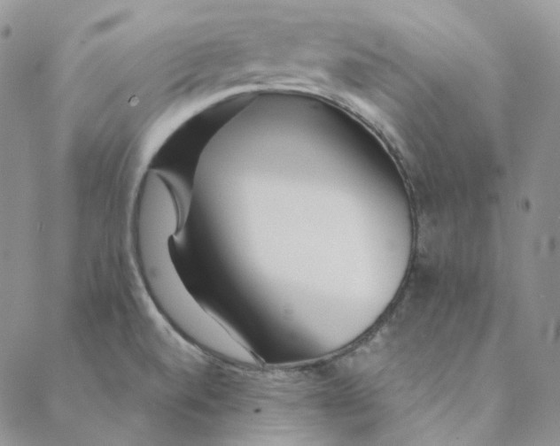 X0000088461520200706121451