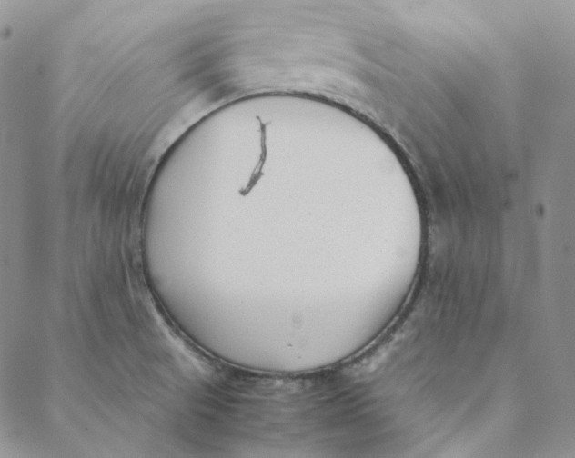 X0000088461521200706121451