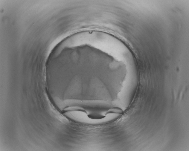 X0000088461522200706121451