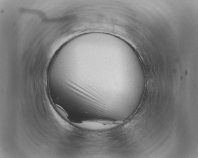 X0000088461523200706121451