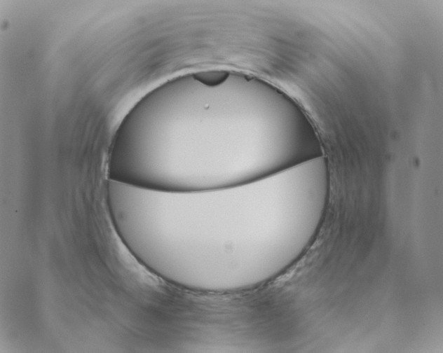 X0000088461524200706121451