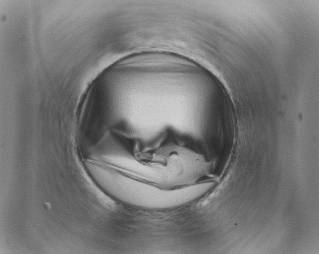 X0000088461525200706121451