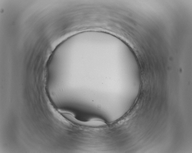 X0000088461526200706121451