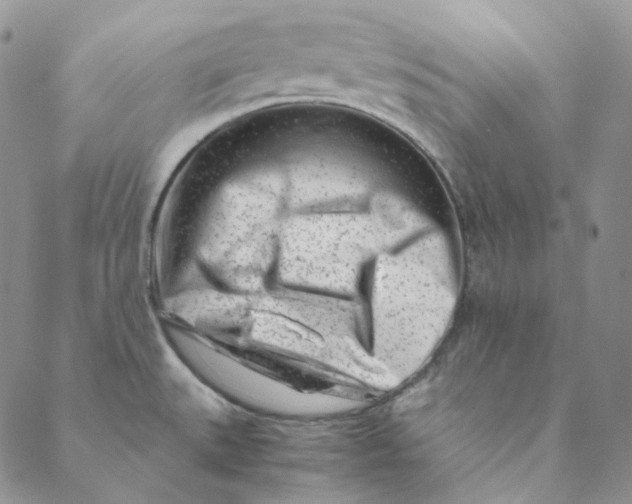 X0000088461527200706121451