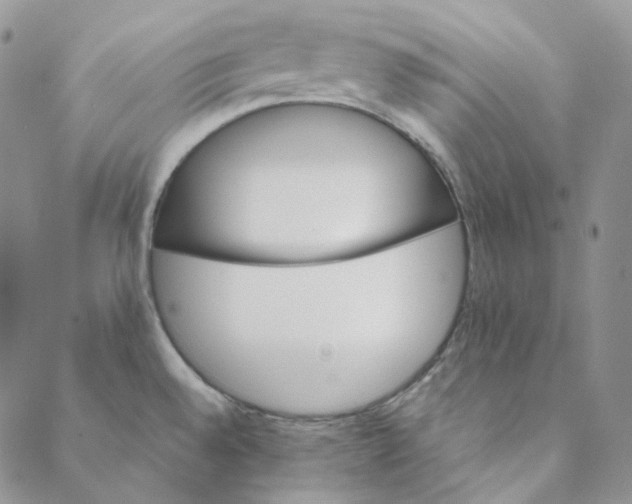 X0000088461528200706121451