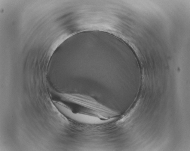 X0000088461529200706121451