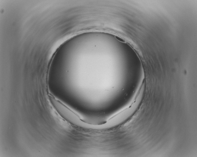 X0000088461530200706121451