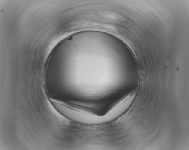 X0000088461531200706121452