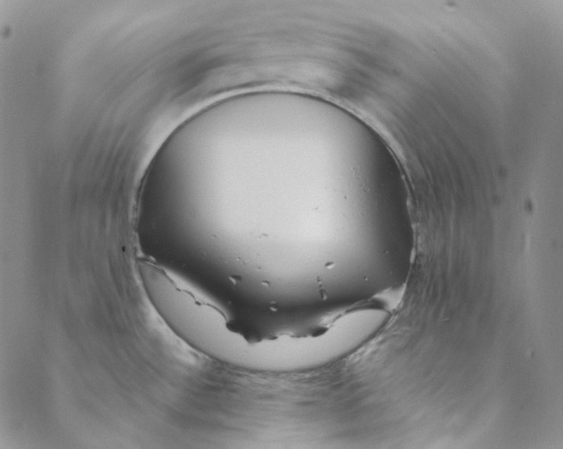 X0000088461532200706121452