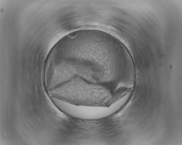 X0000088461533200706121452