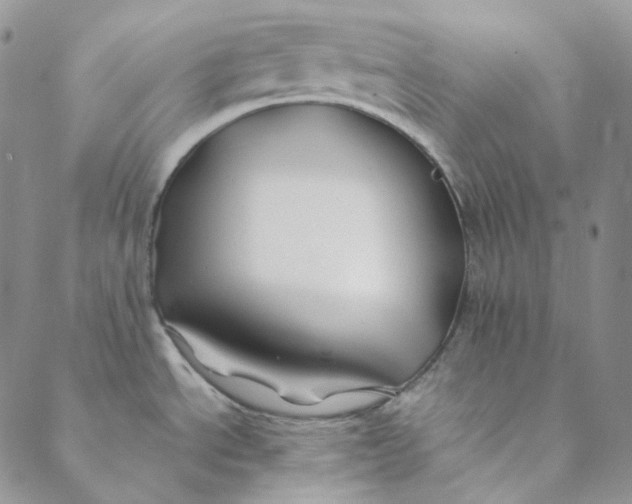 X0000088461534200706121452