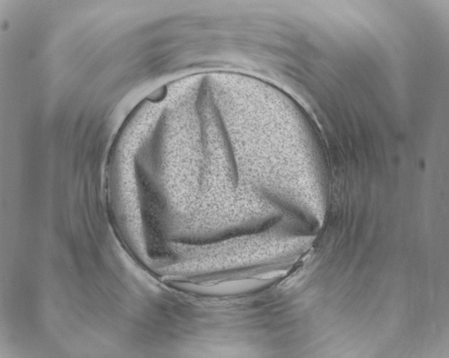 X0000088461535200706121452