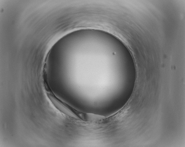 X0000088461536200706121452