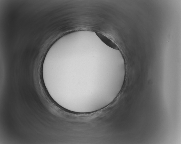 X0000088460001200706191337