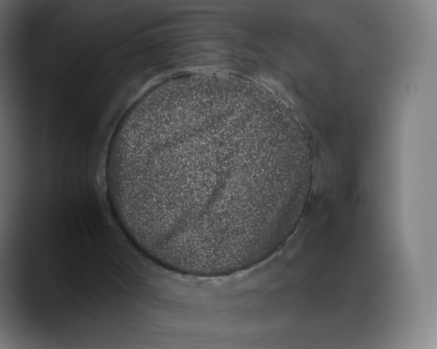 X0000088460002200706191337