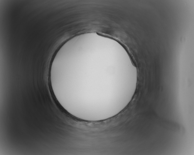 X0000088460003200706191337