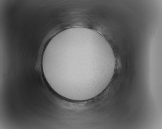 X0000088460004200706191337