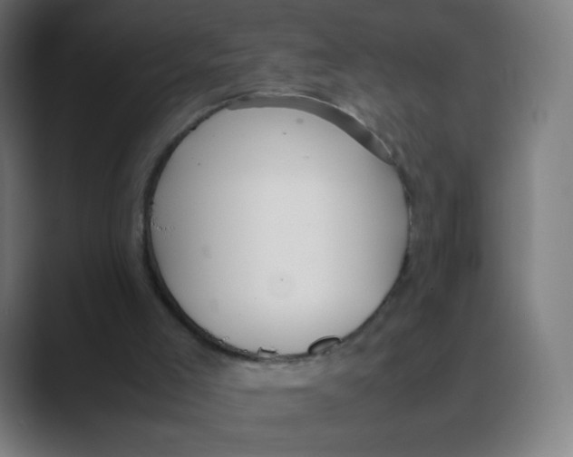 X0000088460005200706191337