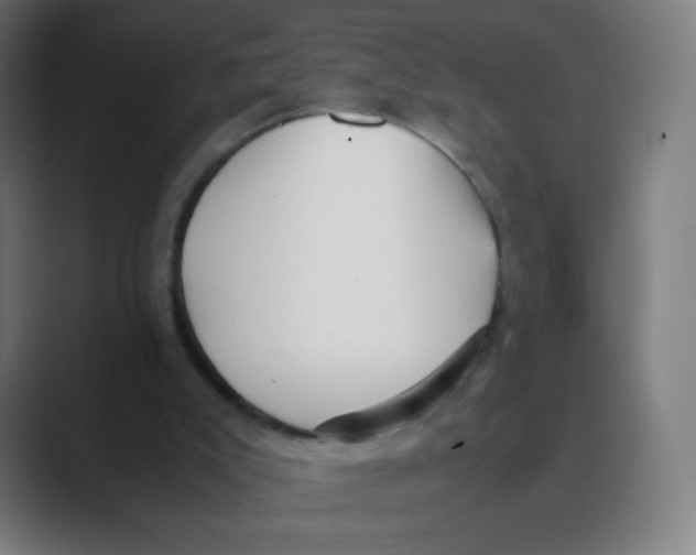 X0000088460007200706191337