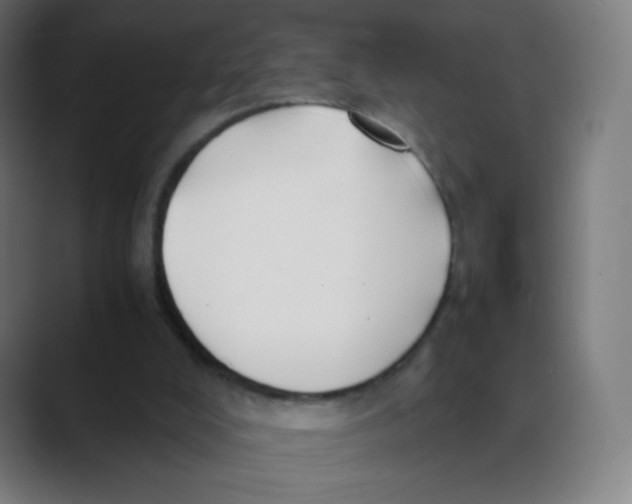 X0000088460008200706191337