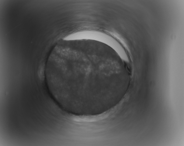X0000088460009200706191337