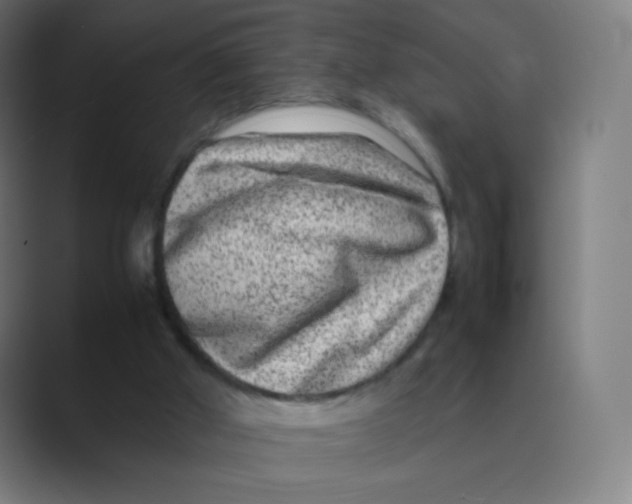 X0000088460010200706191337