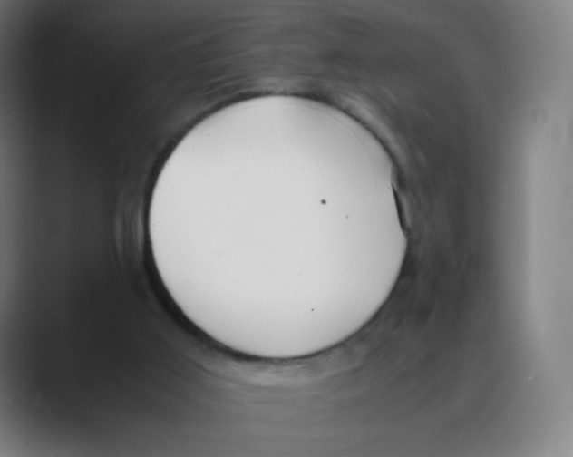 X0000088460011200706191337