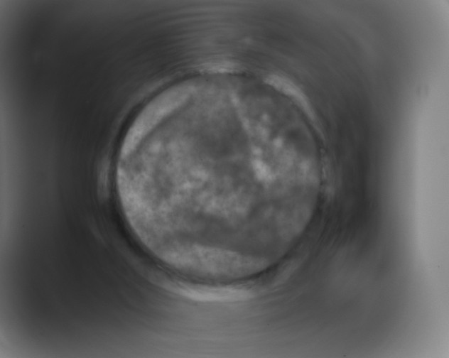 X0000088460012200706191337