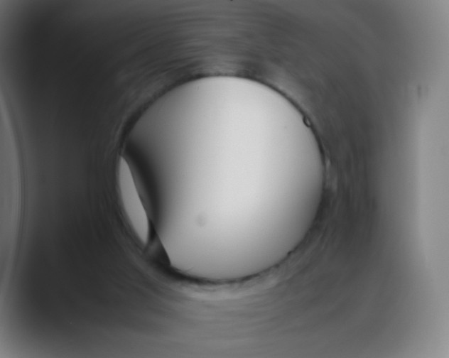 X0000088460013200706191337
