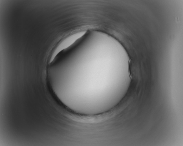 X0000088460015200706191337