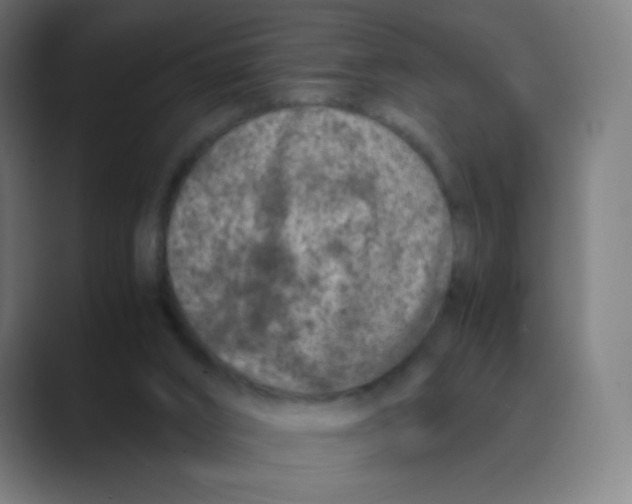 X0000088460016200706191337